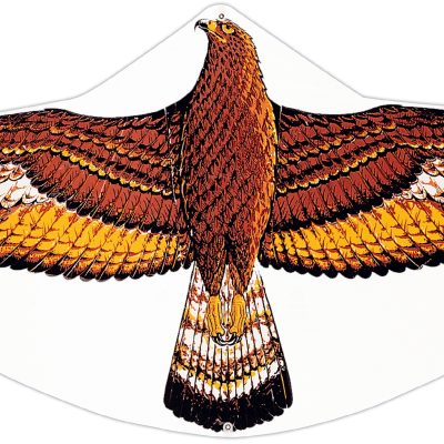 1146 Aguila